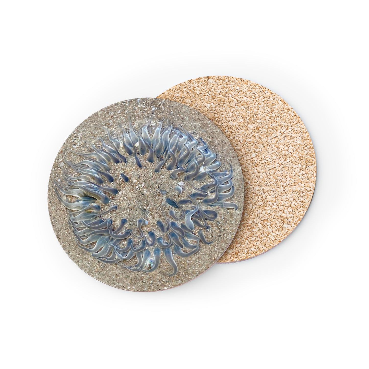Reef range- AUS PRINT Coasters