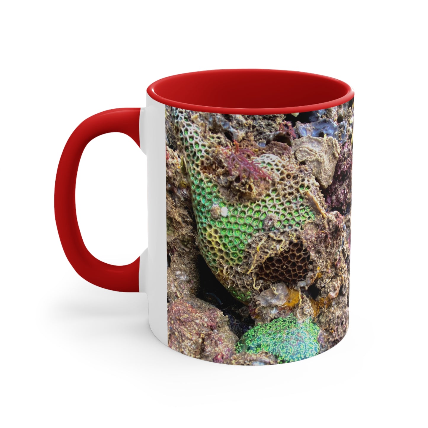 Reef range- AUS PRINT Colorful Accent Mugs, 11oz