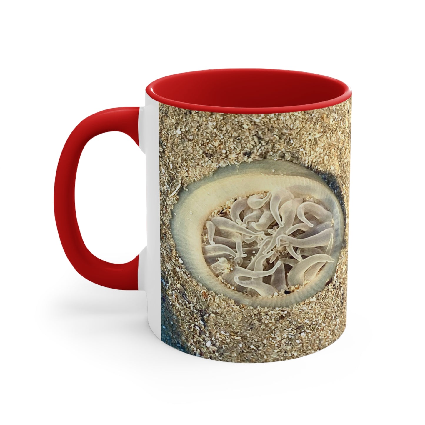 Reef range- AUS PRINT Colorful Accent Mugs, 11oz