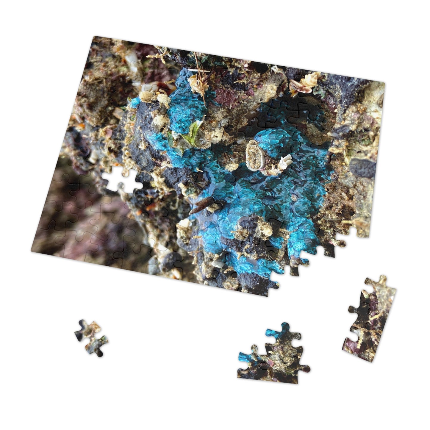 Reef range- Jigsaw Puzzle (30, 110, 252, 500,1000-Piece)