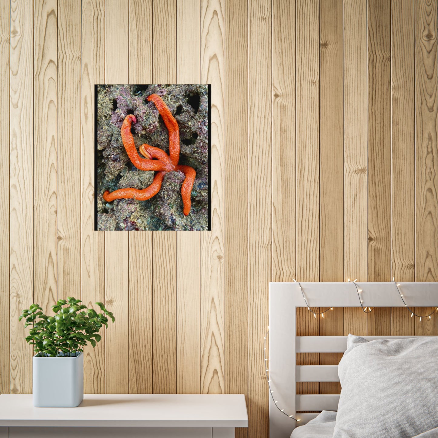 Vibrant Sea Star Unframed Poster | Ocean Wall Art for Nature Lovers