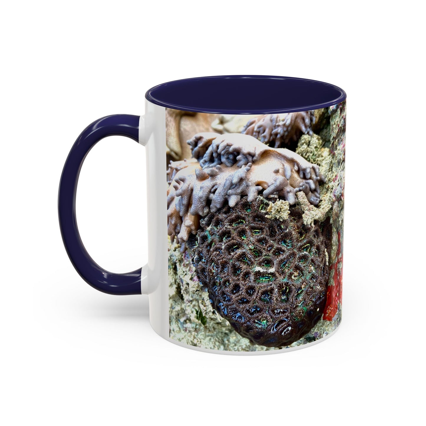Reef range Accent Coffee Mug (11, 15oz)