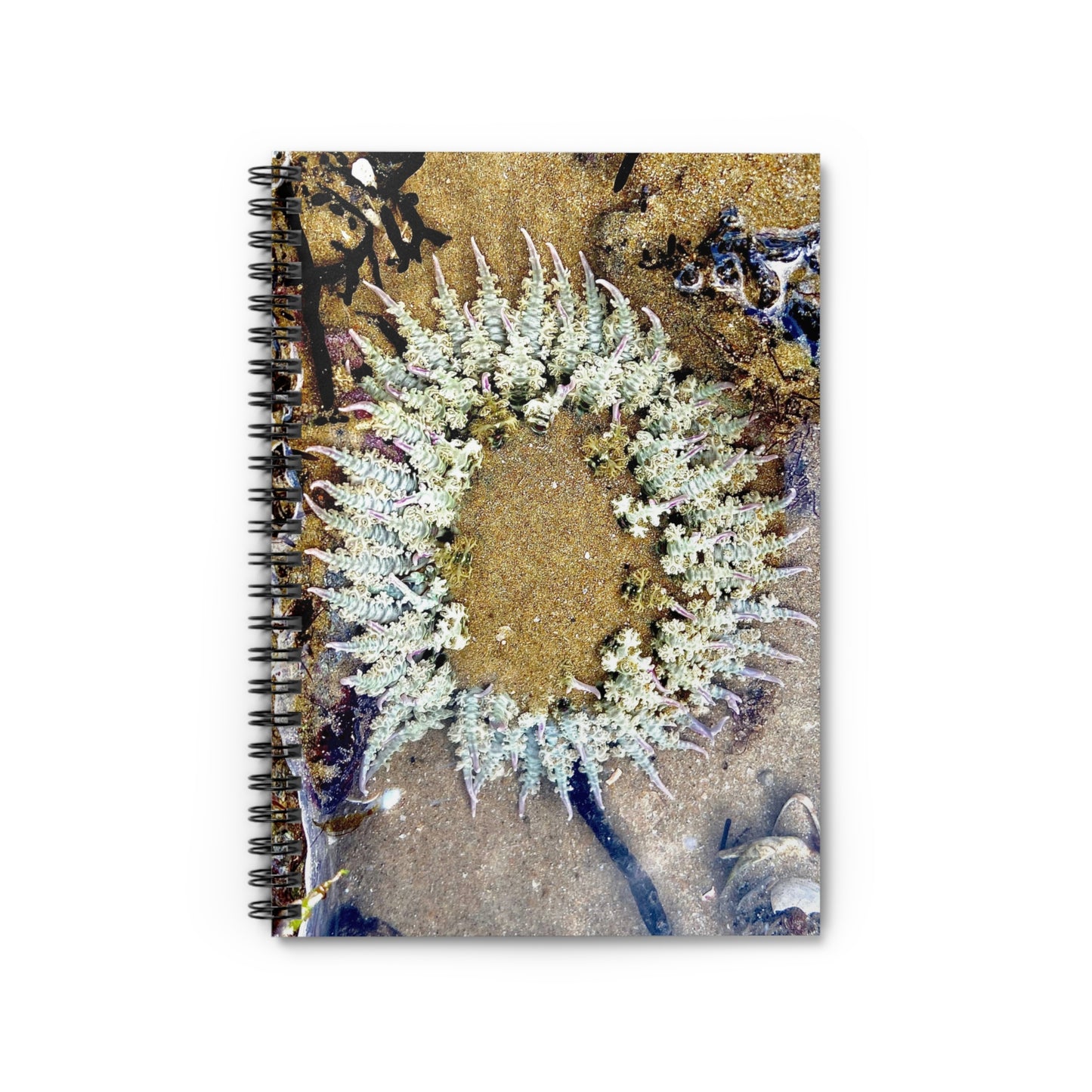 Reef range Spiral Notebook - Ruled Line