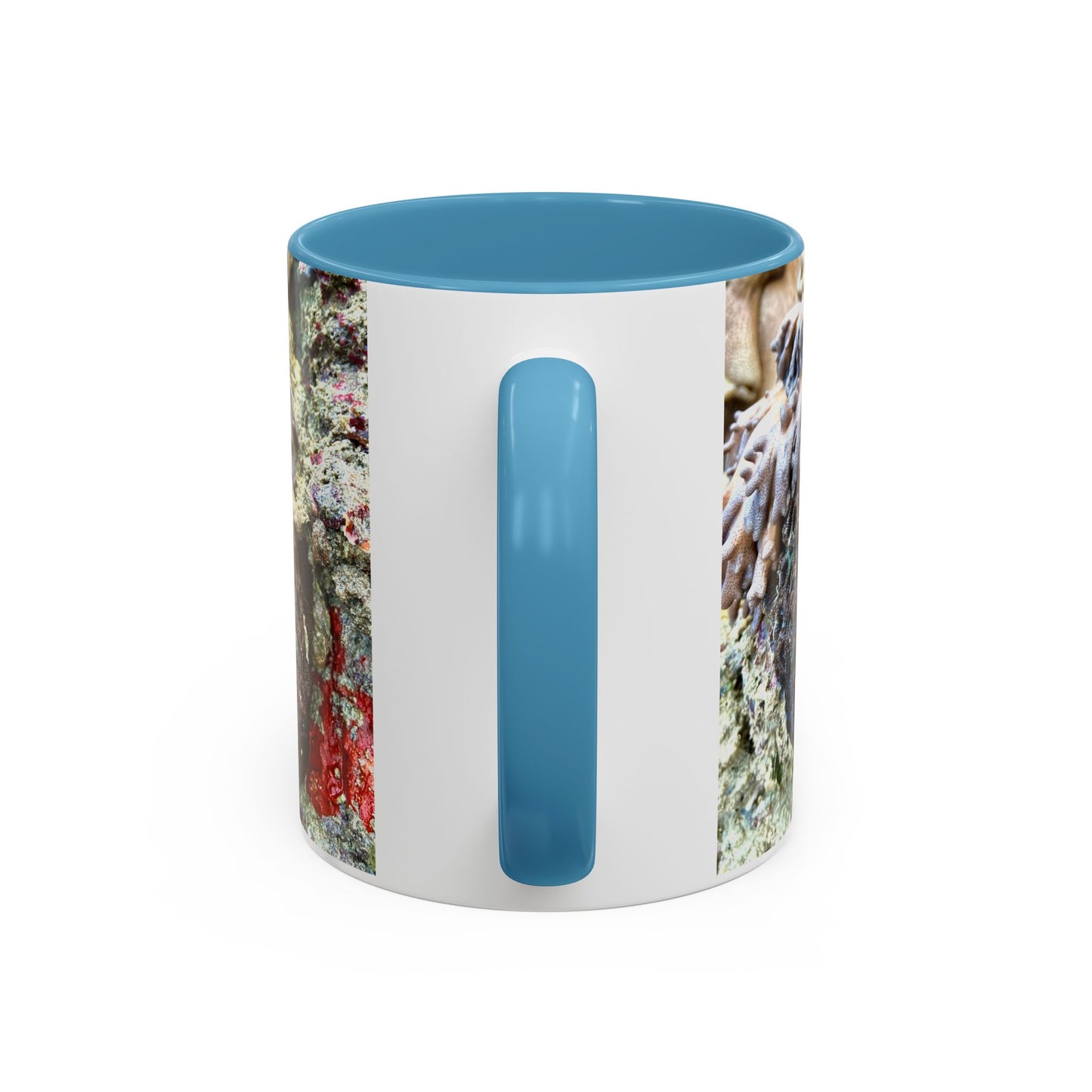 Reef range Accent Coffee Mug (11, 15oz)