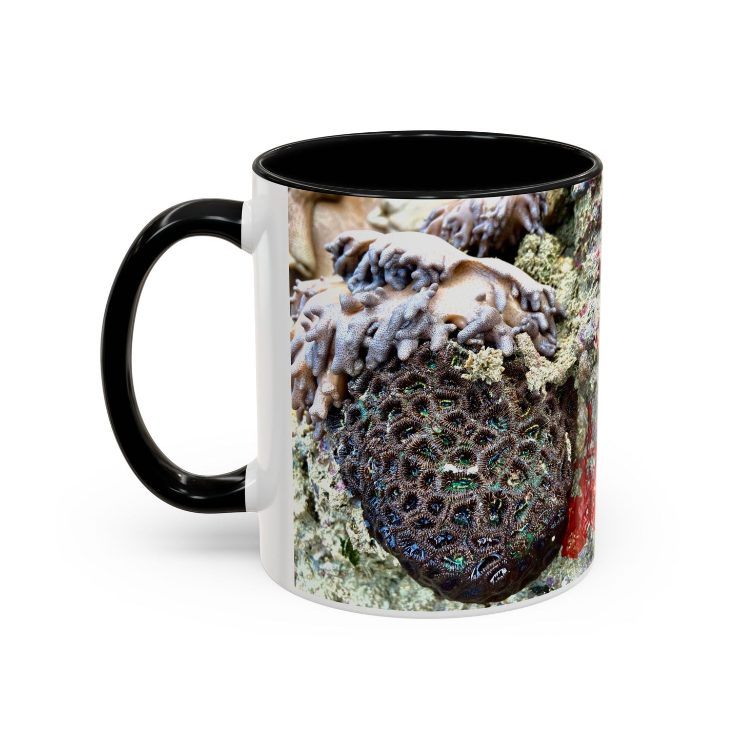 Reef range Accent Coffee Mug (11, 15oz)