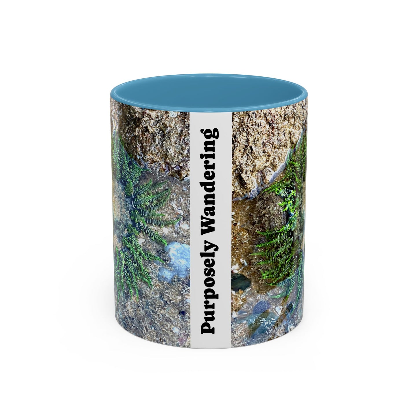 Reef range Accent Coffee Mug (11, 15oz)