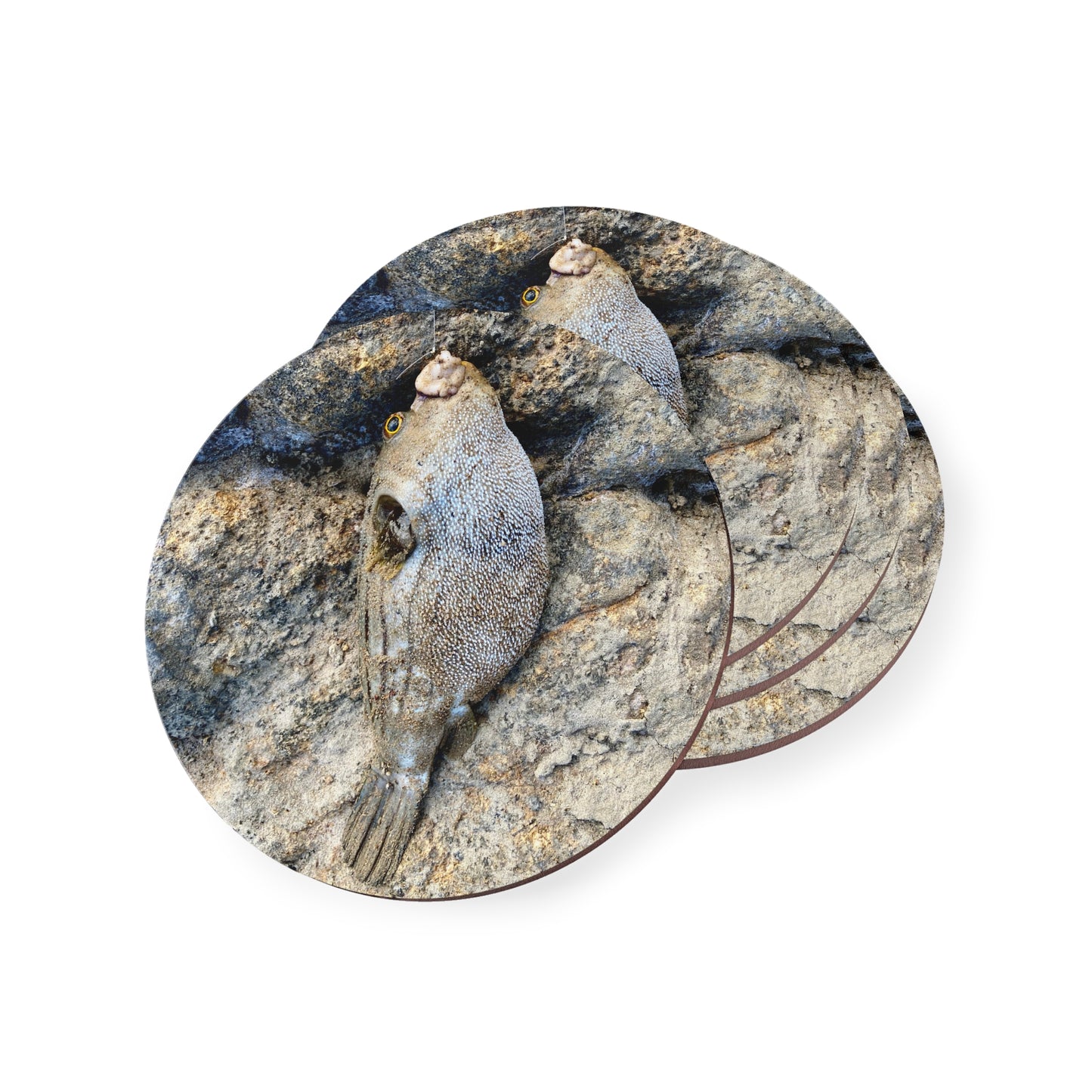 Coastal Fish Coasters – Nautical Home Decor for Ocean Lovers Fishing inspired- Puffer fish
