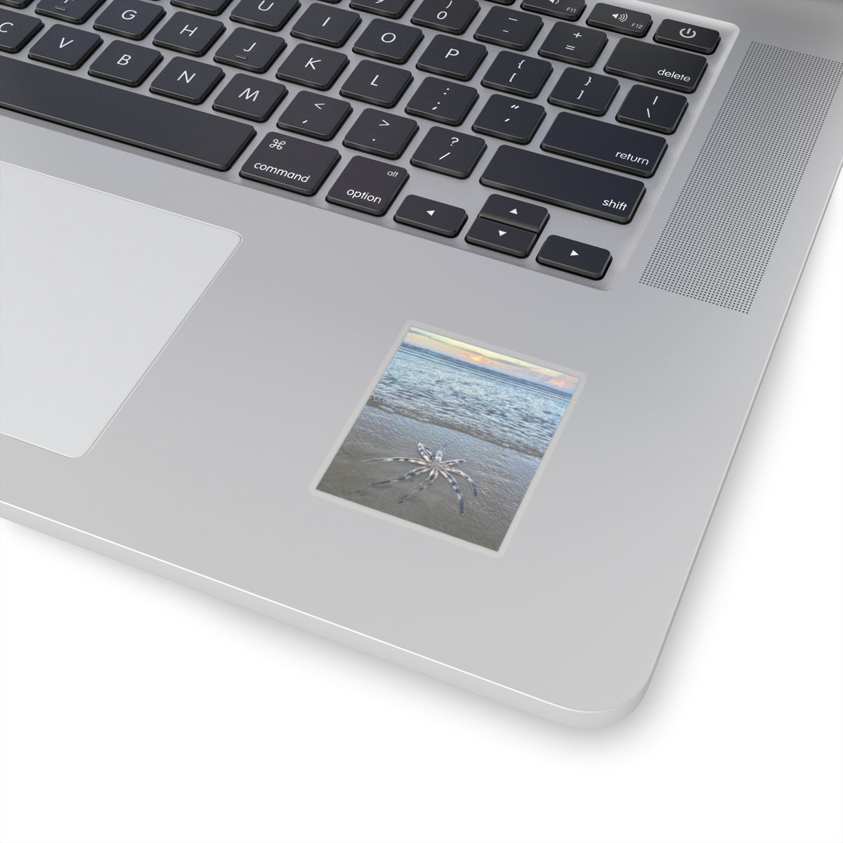 “Show me something interesting” Kiss-Cut Stickers