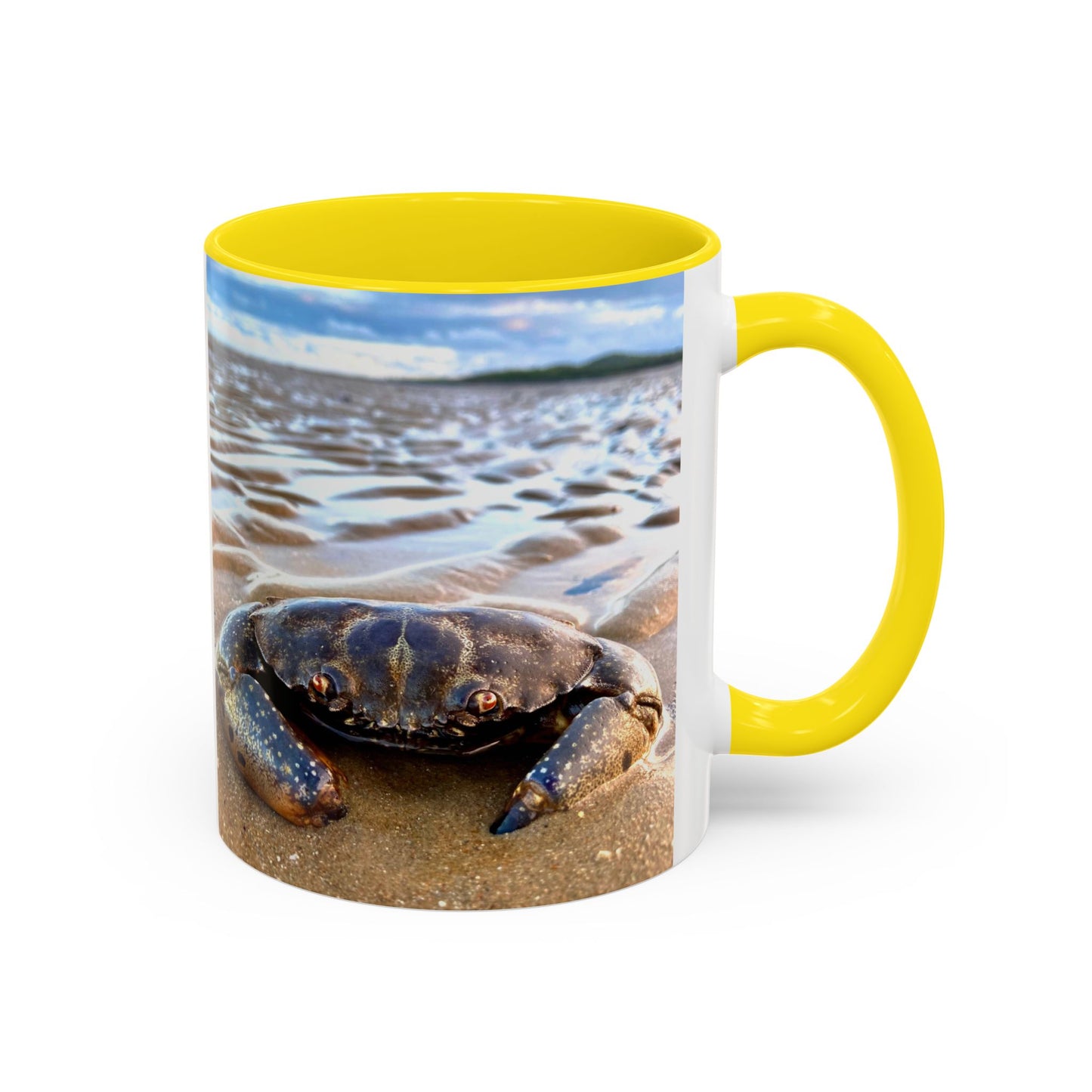Purposely Wandering Accent Coffee Mug - Beach & Nature Lover Gift (11, 15oz)