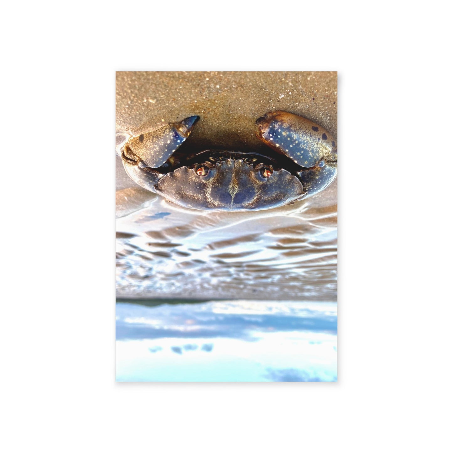 Beach Lovers range- Holiday Cards (Two-sided print)