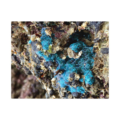 Reef range- Jigsaw Puzzle (30, 110, 252, 500,1000-Piece)