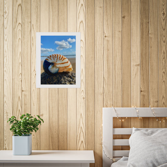 Coastal Nautilus Shell Unframed Poster – Beach Decor for Coastal Lovers