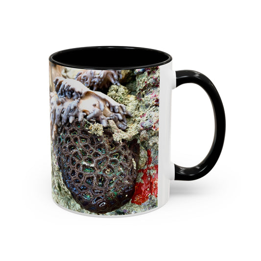 Reef range Accent Coffee Mug (11, 15oz)