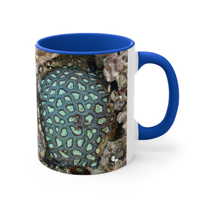 Reef range- AUS PRINT Colourful Accent Mugs, 11oz