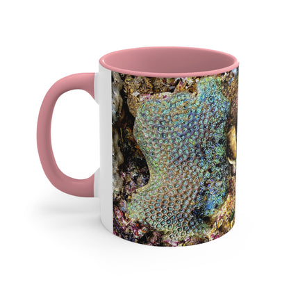 Reef range- AUS PRINT Colorful Accent Mugs, 11oz