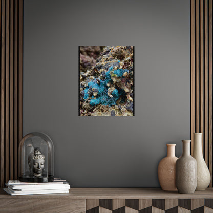 Ocean-Inspired Unframed Poster - Abstract Natural Artwork for Home Decor