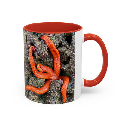 Reef range Accent Coffee Mug (11, 15oz)