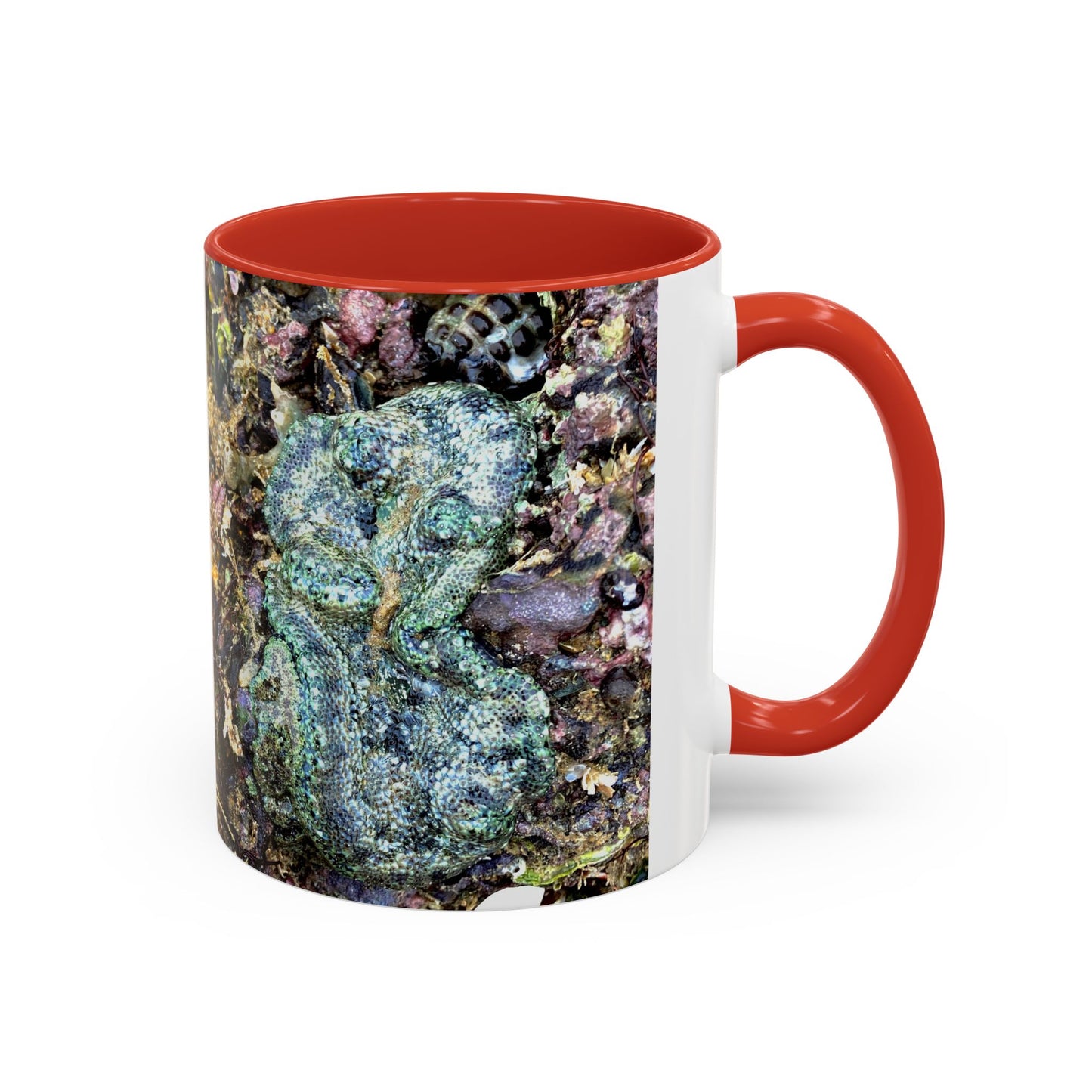 Reef range Accent Coffee Mug (11, 15oz)