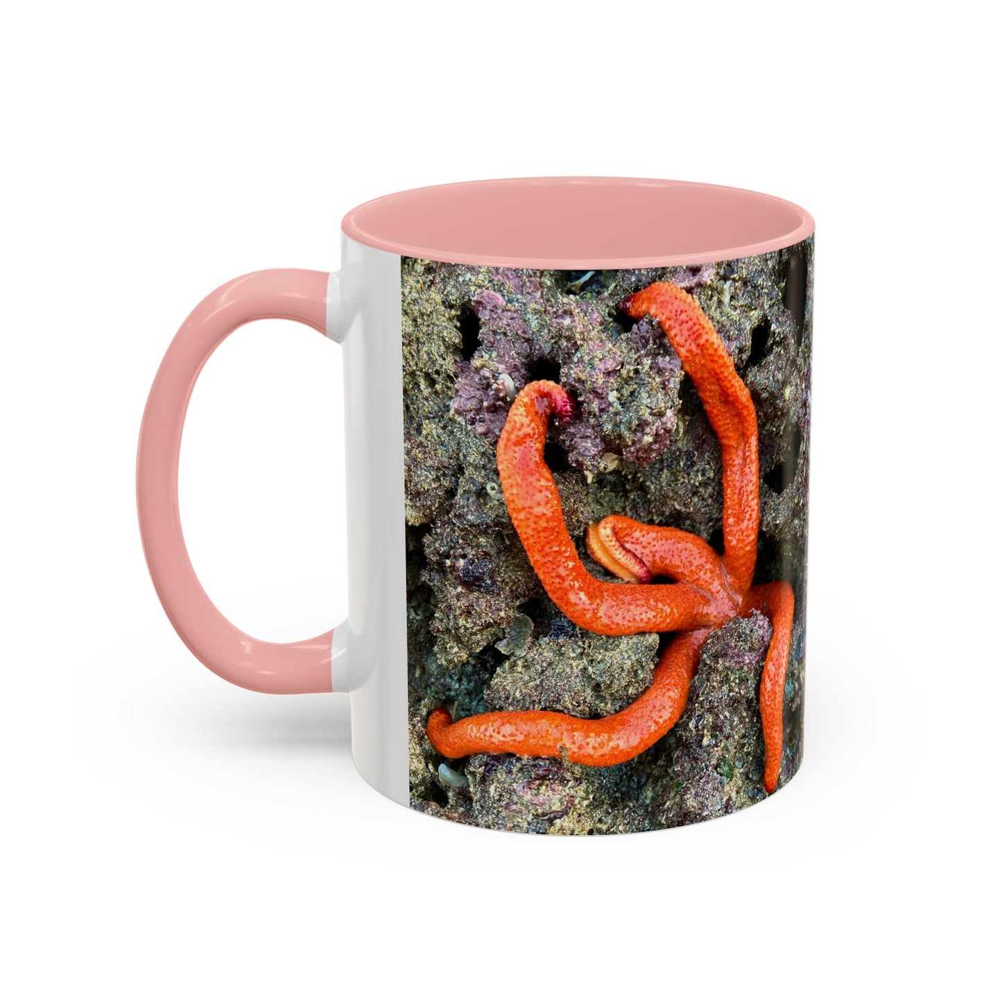 Reef range Accent Coffee Mug (11, 15oz)
