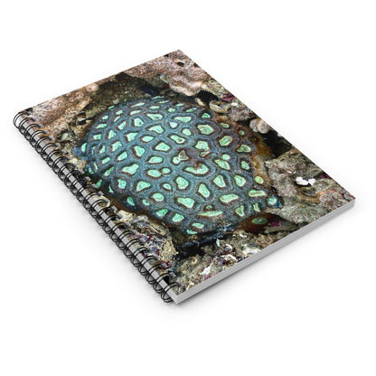 Reef range Spiral Notebook - Ruled Line