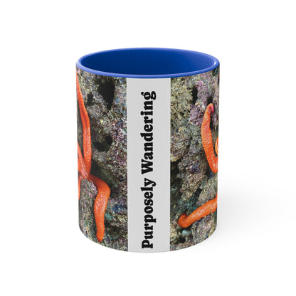 Reef range- AUS PRINT Colorful Accent Mugs, 11oz