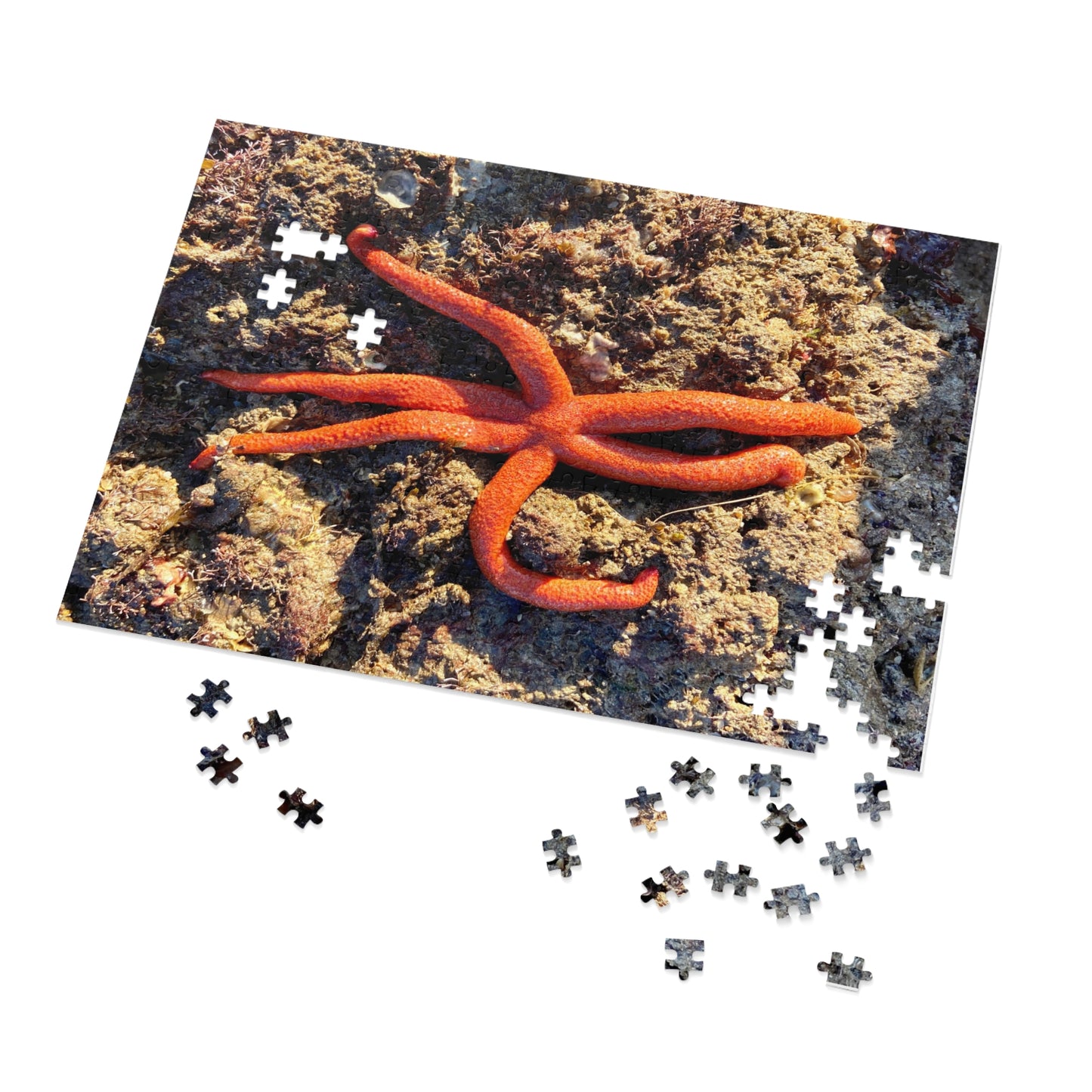 Reef- Jigsaw Puzzle (30, 110, 252, 500,1000-Piece)