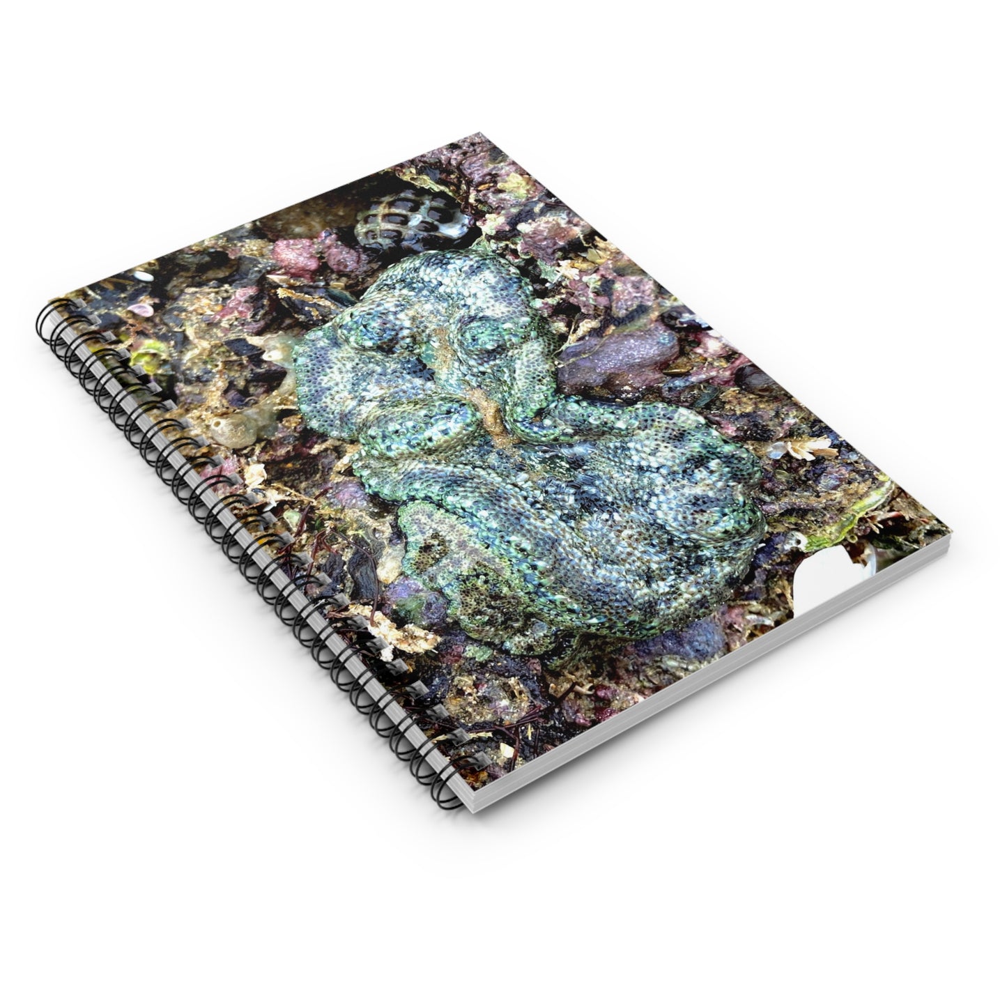 Reef range Spiral Notebook - Ruled Line
