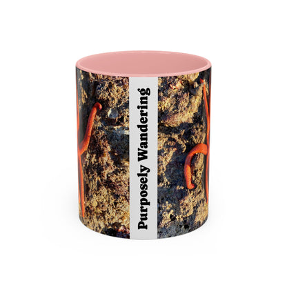 Reef range Accent Coffee Mug (11, 15oz)