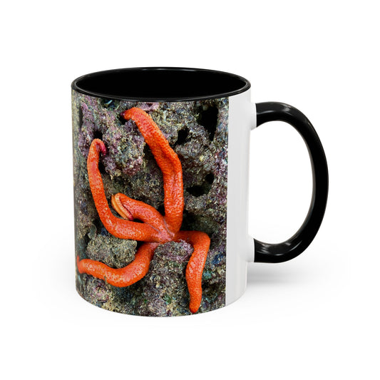 Reef range Accent Coffee Mug (11, 15oz)