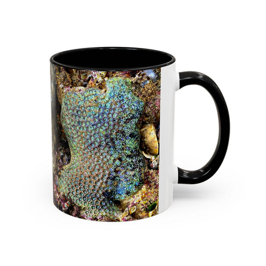 Reef range Accent Coffee Mug (11, 15oz)