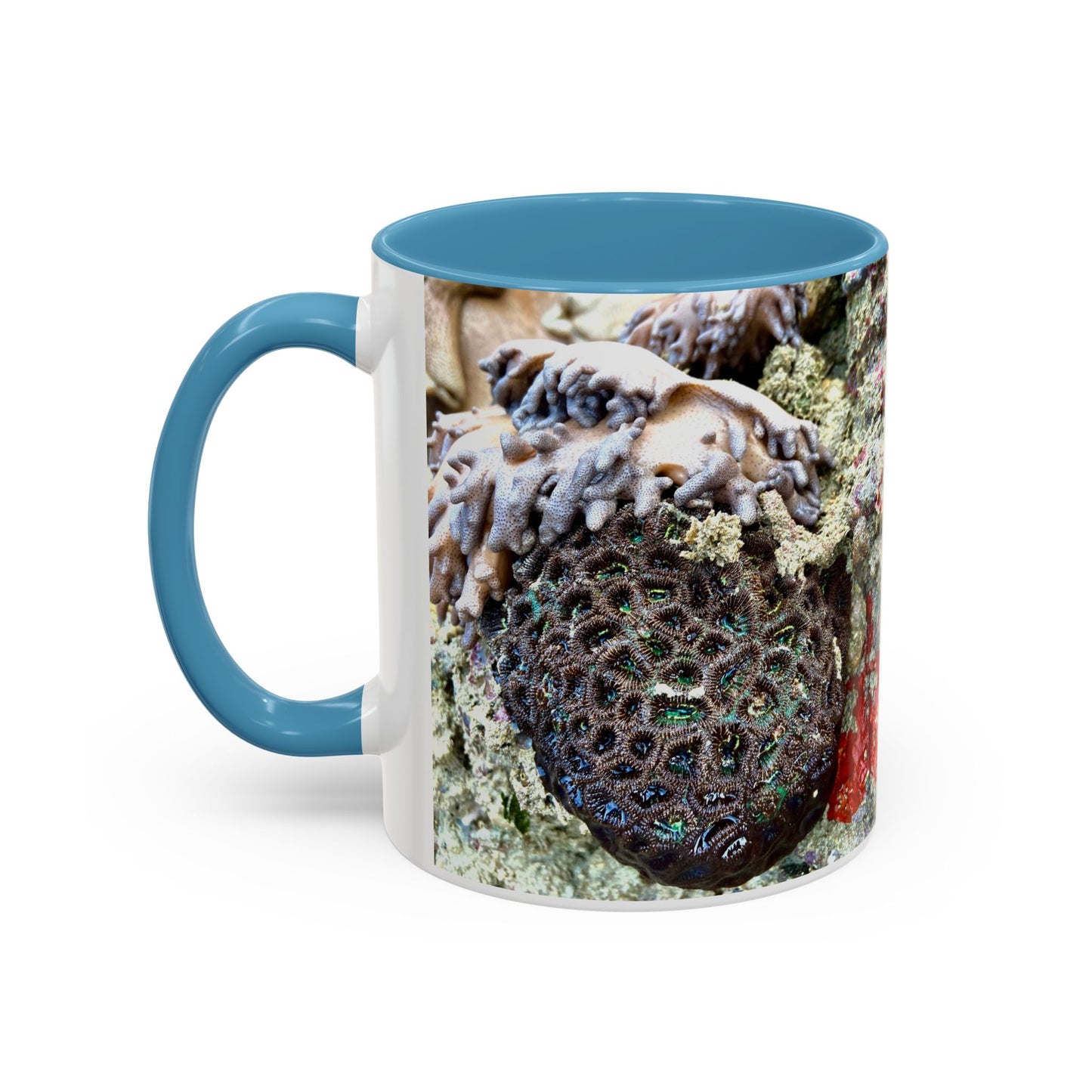Reef range Accent Coffee Mug (11, 15oz)