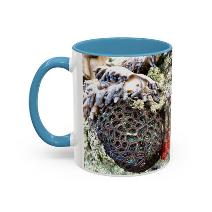 Reef range Accent Coffee Mug (11, 15oz)