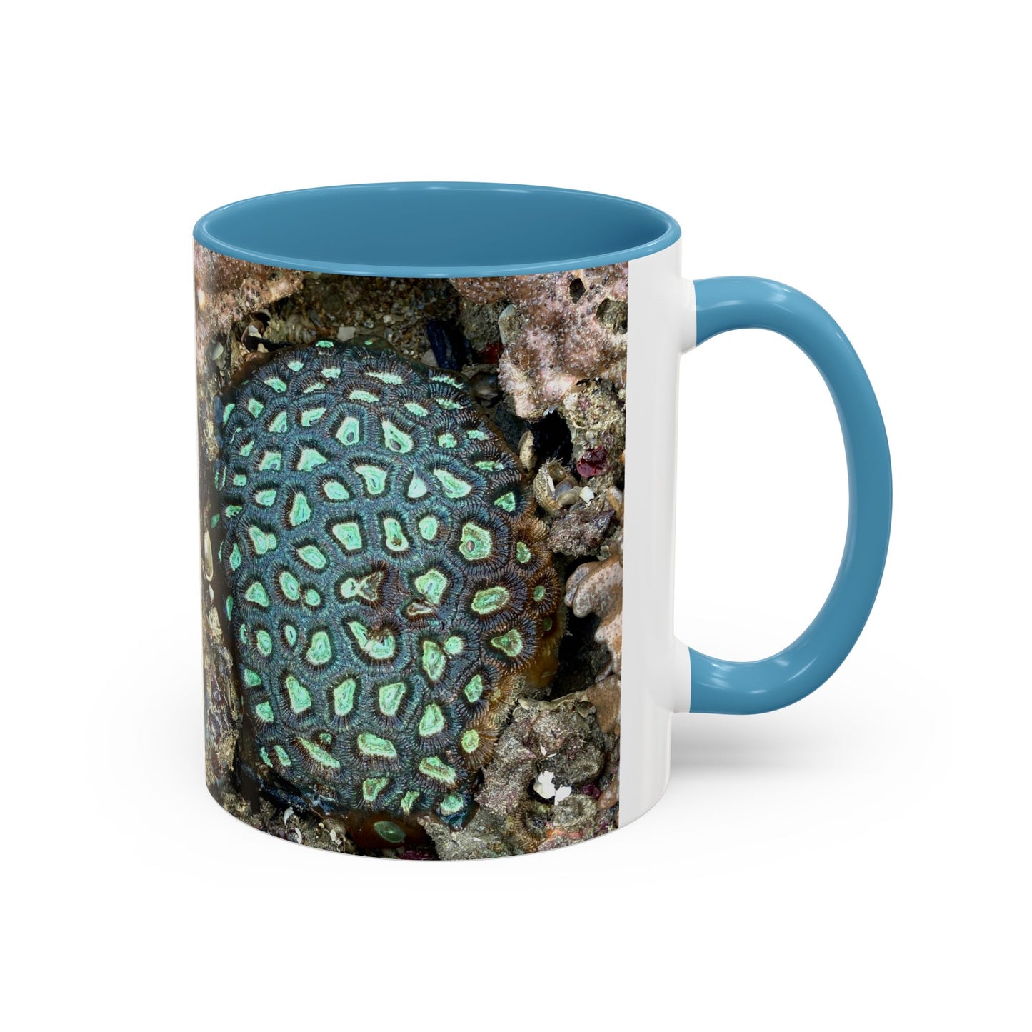 Reef range Accent Coffee Mug (11, 15oz)