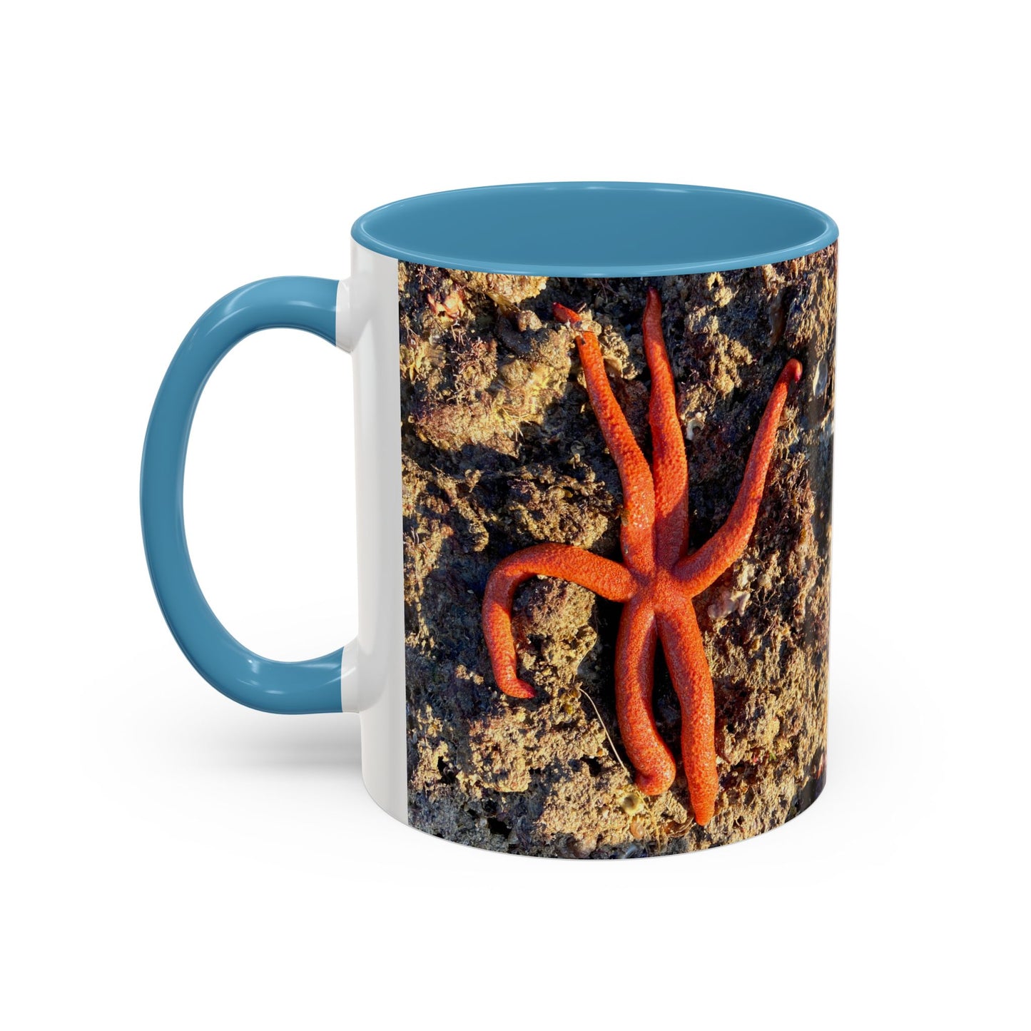 Reef range Accent Coffee Mug (11, 15oz)