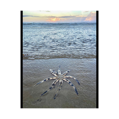 Ocean-Inspired Unframed Poster - Serene Rare Starfish Beach Art for Coastal Decor