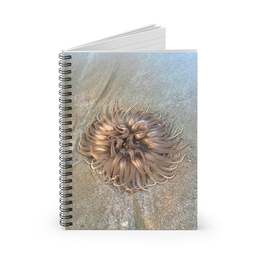 Reef range Spiral Notebook - Ruled Line