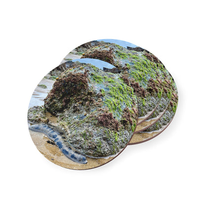 Nature-Inspired Coastal Coasters - Scenic Ocean Design for Home Decor