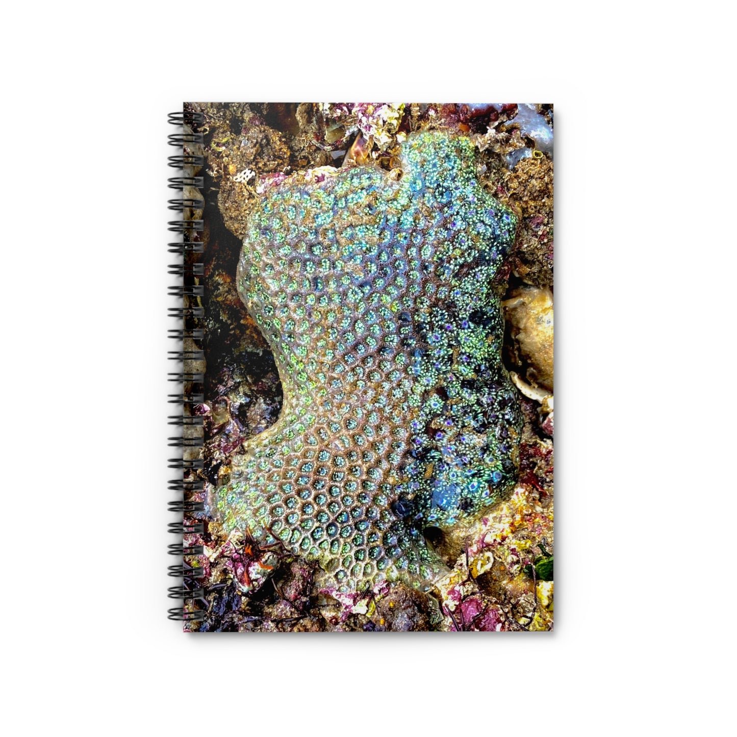 Reef range Spiral Notebook - Ruled Line