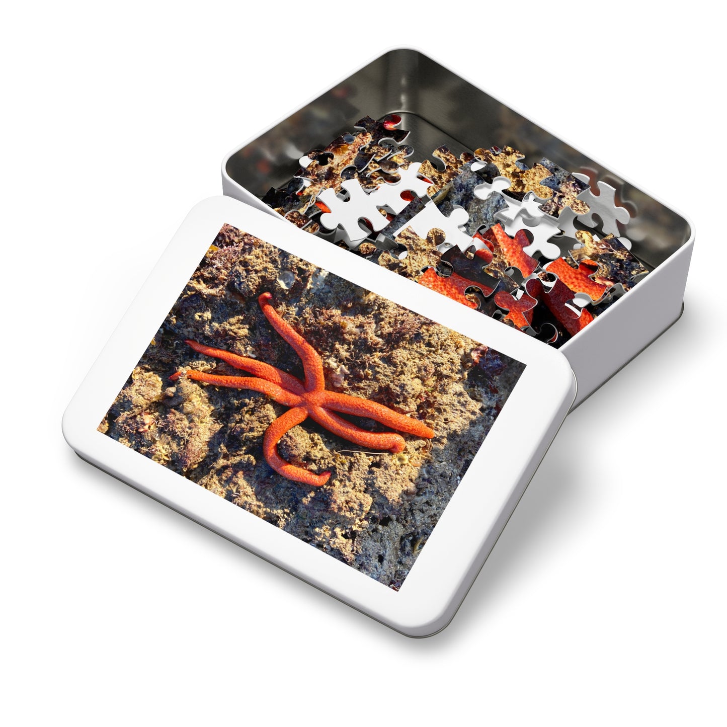 Reef- Jigsaw Puzzle (30, 110, 252, 500,1000-Piece)