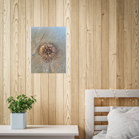 Coastal Sea Creature Unframed Poster - Serene Ocean Decor