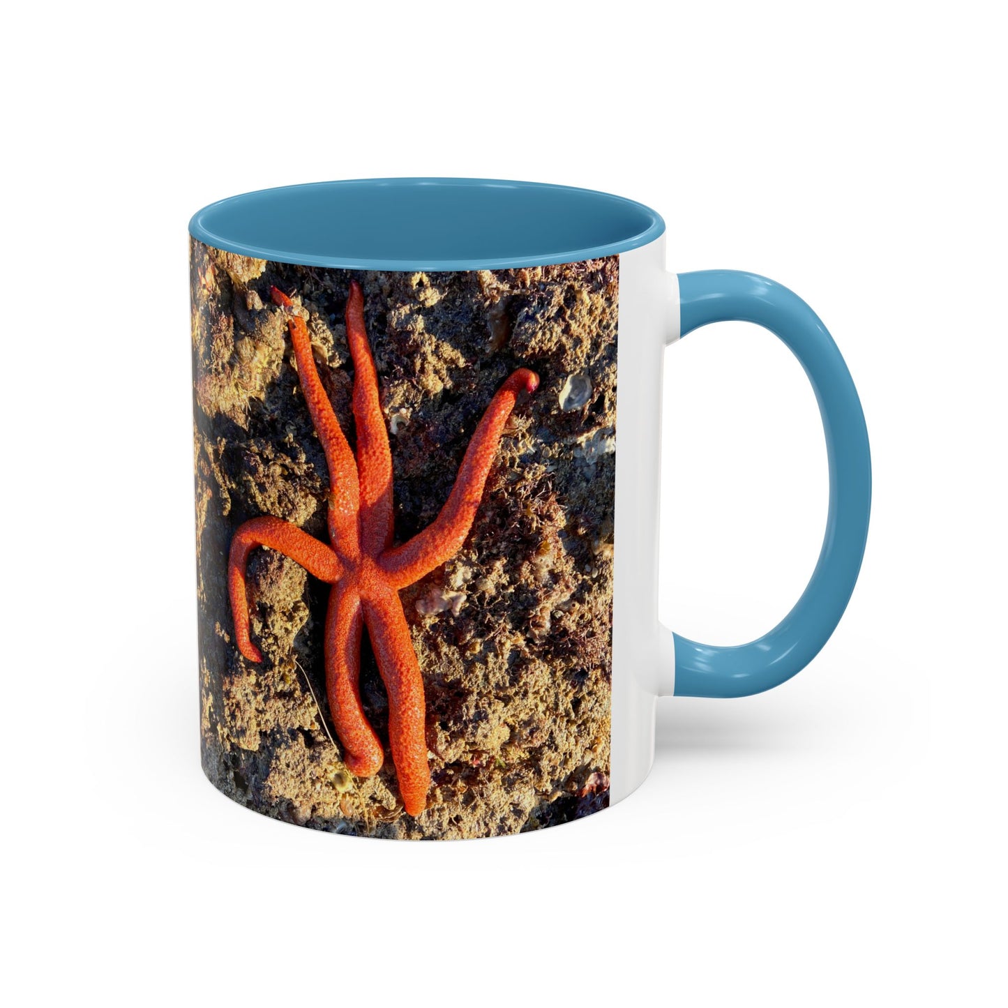 Reef range Accent Coffee Mug (11, 15oz)