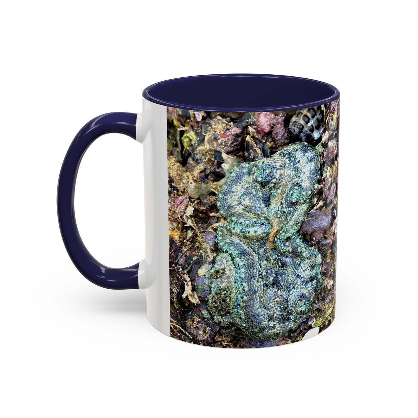 Reef range Accent Coffee Mug (11, 15oz)