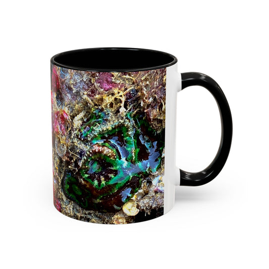 Reef range Accent Coffee Mug (11, 15oz)