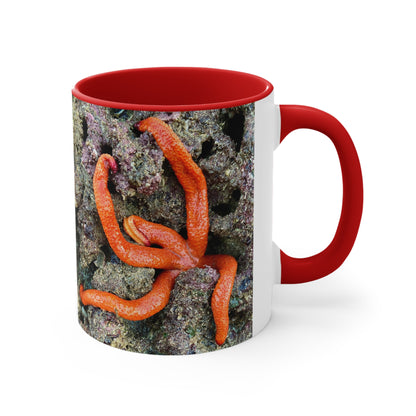 Reef range- AUS PRINT Colorful Accent Mugs, 11oz