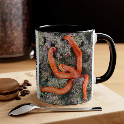 Reef range- AUS PRINT Colorful Accent Mugs, 11oz