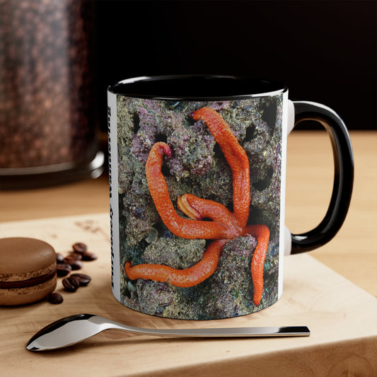 Reef range- AUS PRINT Colorful Accent Mugs, 11oz