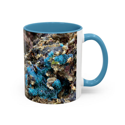 Reef range Accent Coffee Mug (11, 15oz)