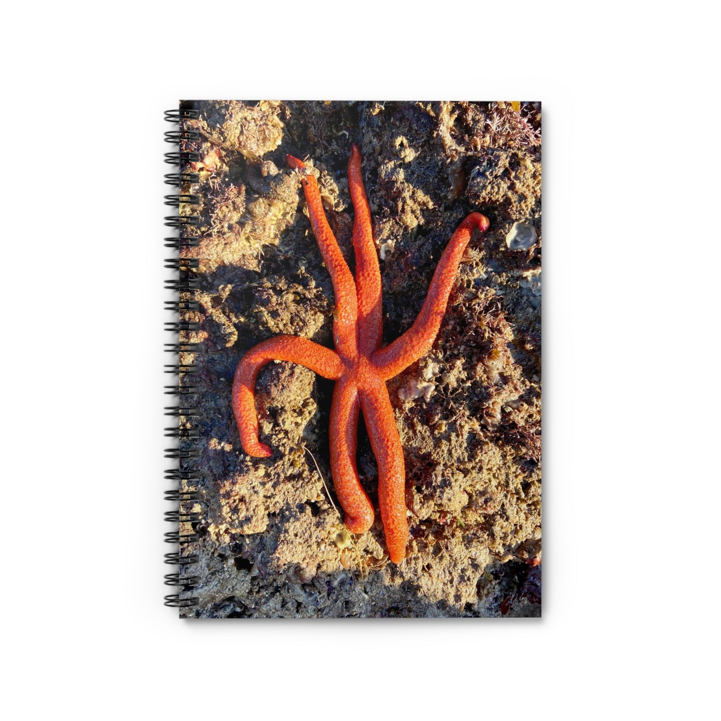 Reef range Spiral Notebook - Ruled Line
