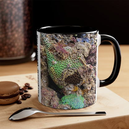 Reef range- AUS PRINT Colorful Accent Mugs, 11oz