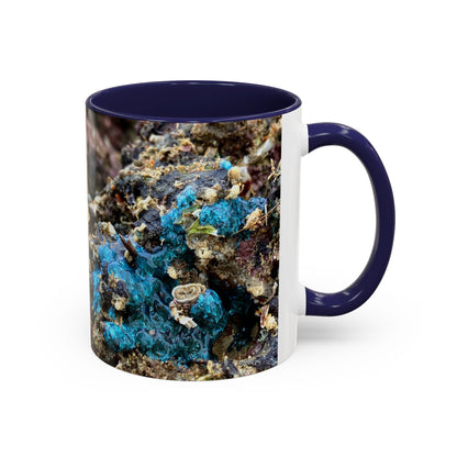 Reef range Accent Coffee Mug (11, 15oz)